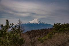 今年こそは・・