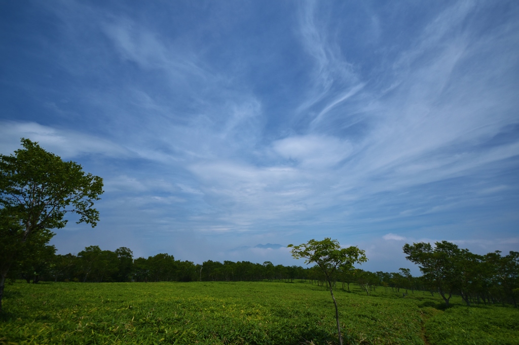 霧降高原　