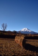 田園と富士