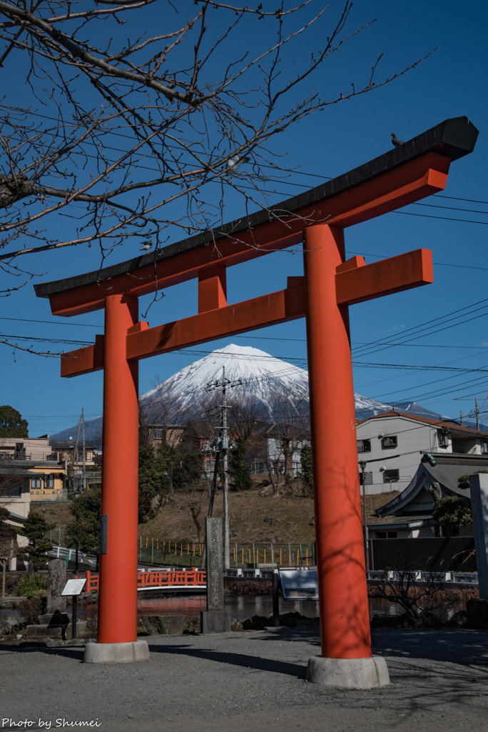 鳥居と富士