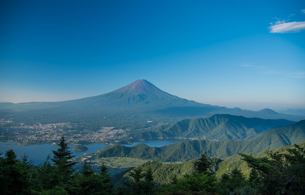 夏の朝