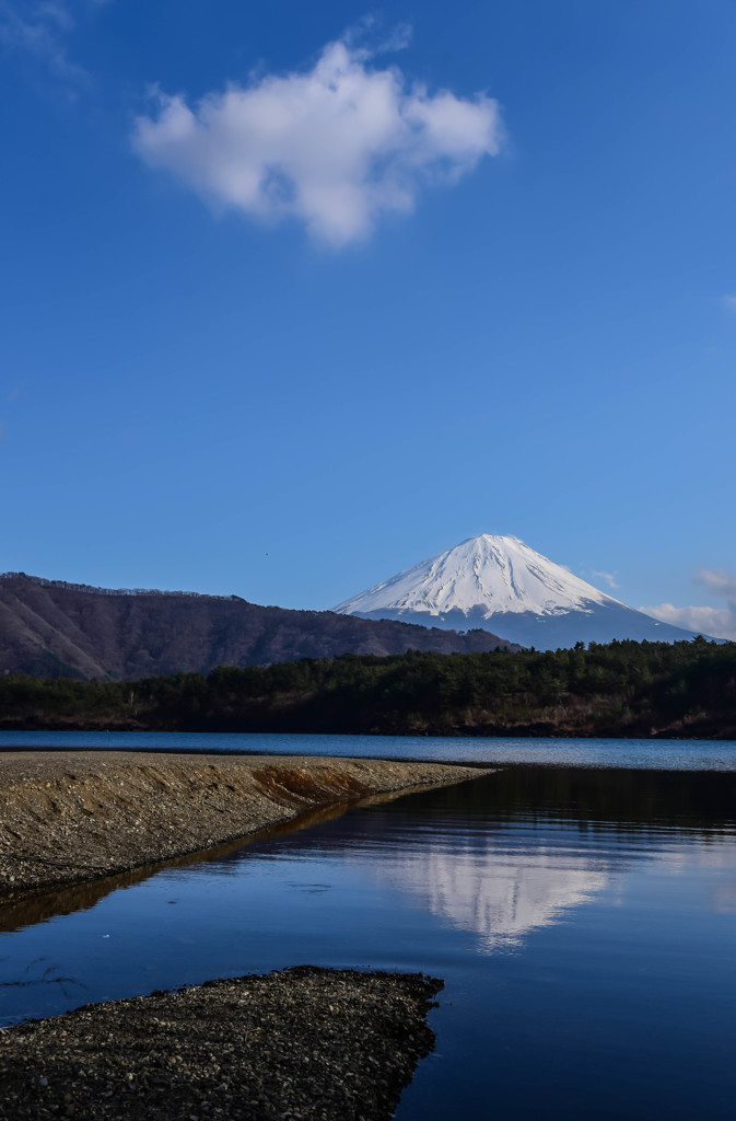 久々に・・