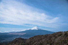 雄大