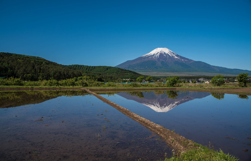 田園と富士