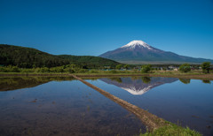 田園と富士