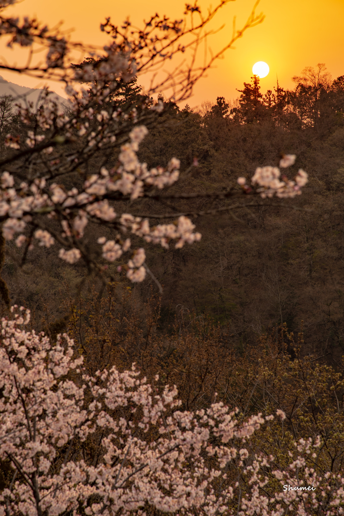 夕陽のような朝日