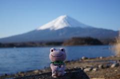 ハイ！チーズ！