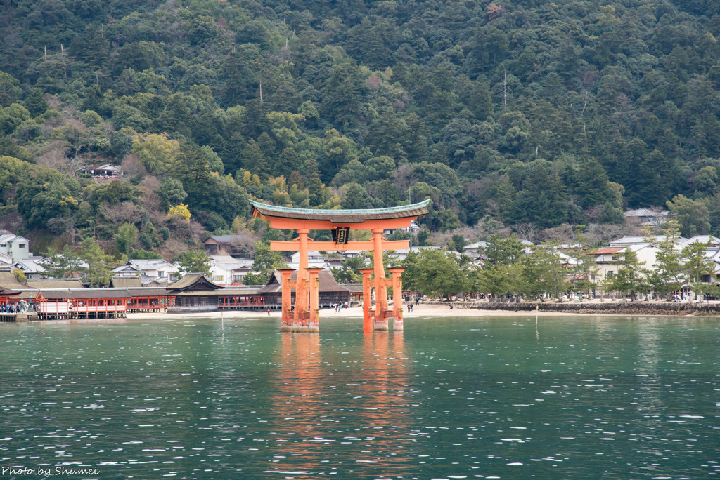 春の宮島