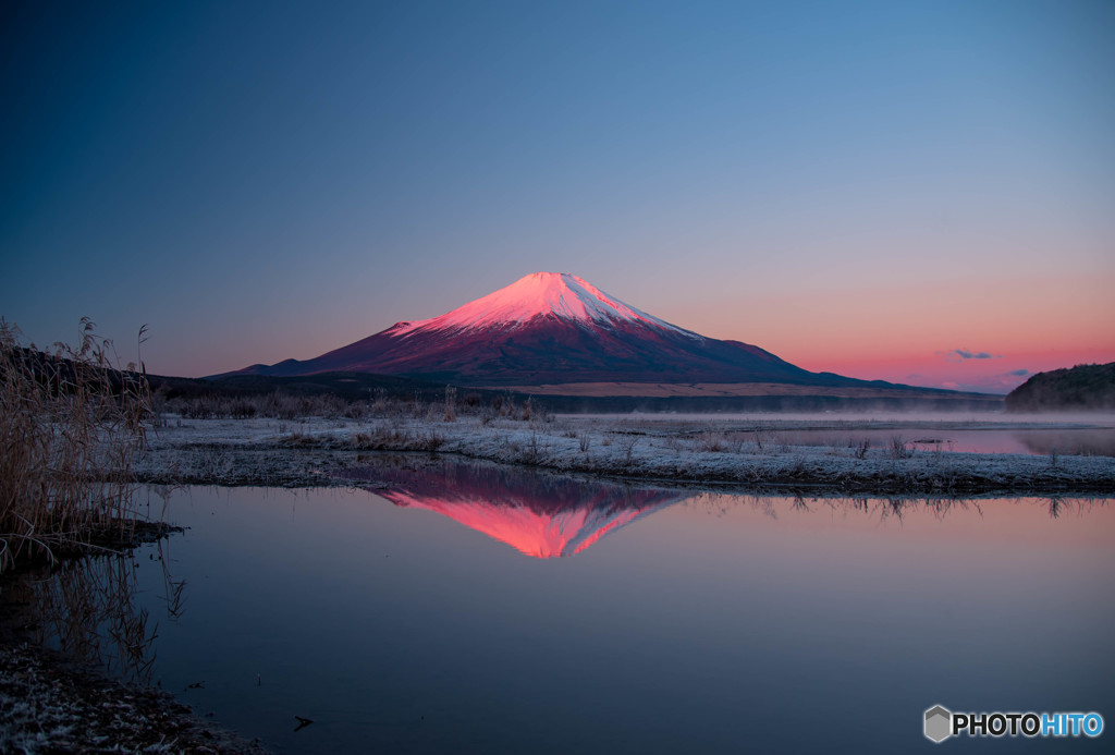 紅く