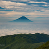 雲海と富士