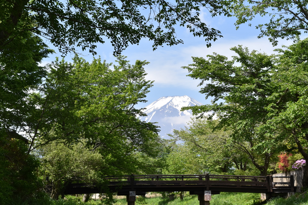 桜が満開の頃には・・・