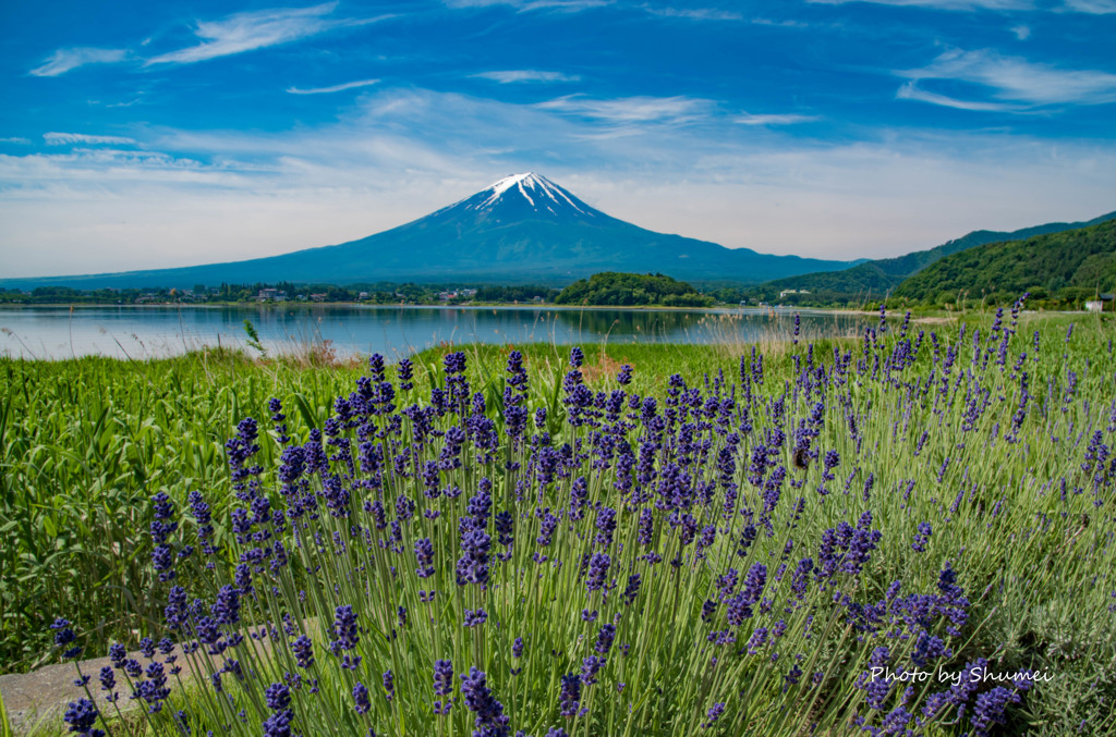 夏はすぐそこ