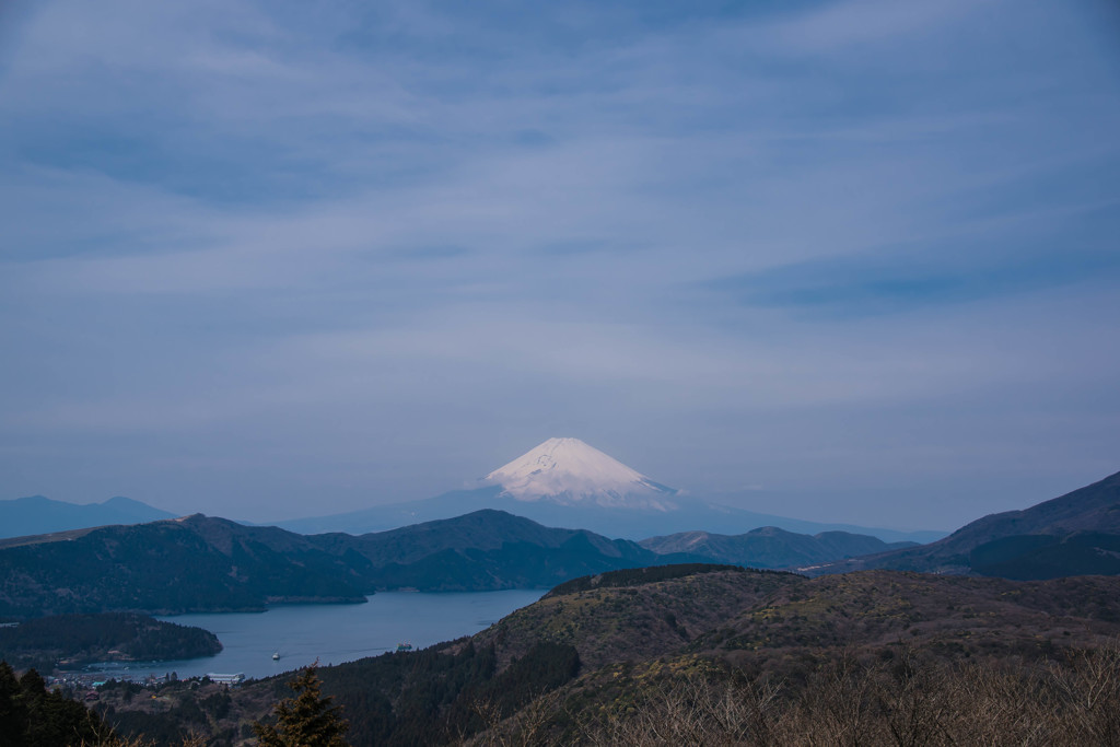 今度こそは・・
