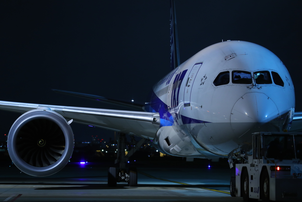 ANA 787 Dream Liner