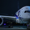 ANA 787 Dream Liner