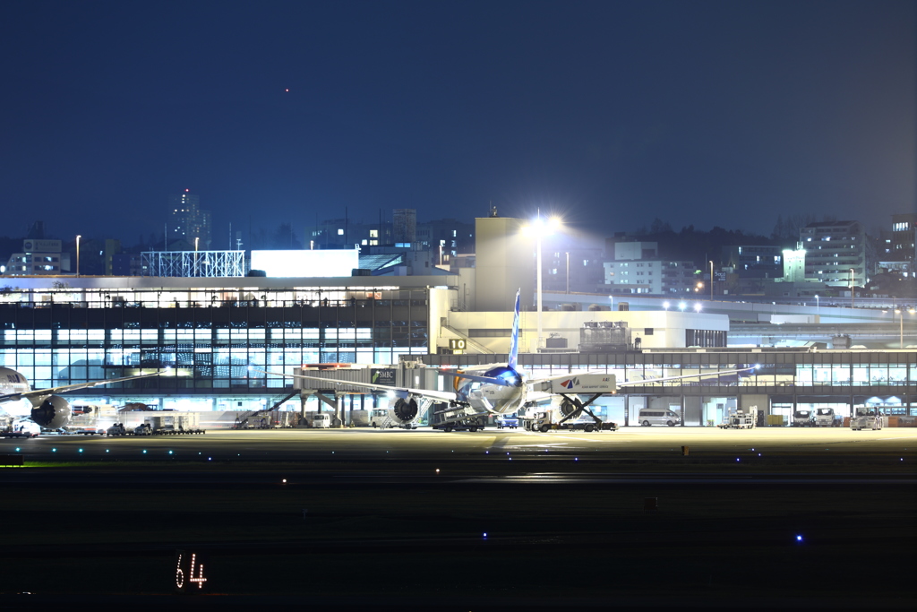 Itami airport