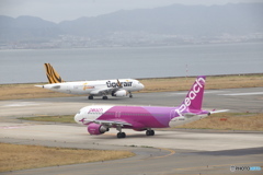 関西国際空港　peachとtigerair