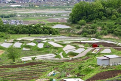 長野県 姨捨 棚田の風景