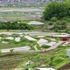 長野県 姨捨 棚田の風景