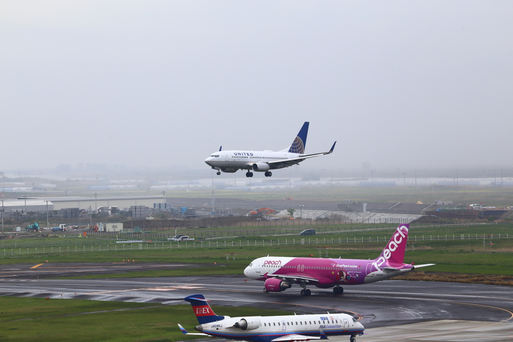 仙台空港チャーター機