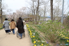 おばあちゃんと花見