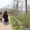 おばあちゃんと花見