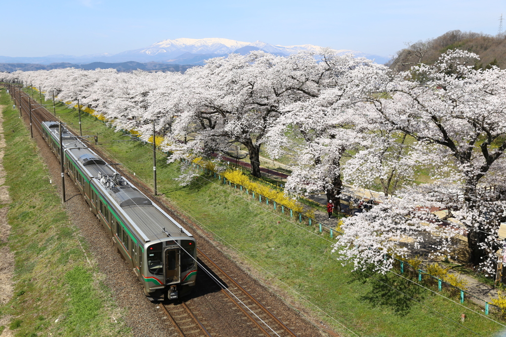 宮城県柴田町