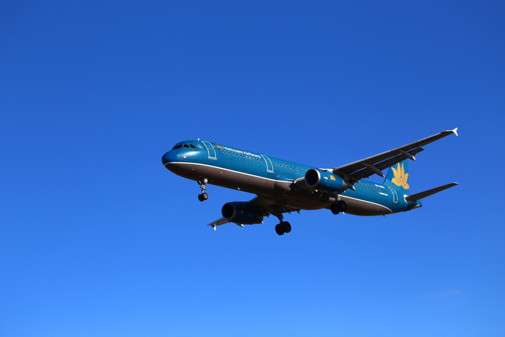 仙台空港チャーター機 ベトナム