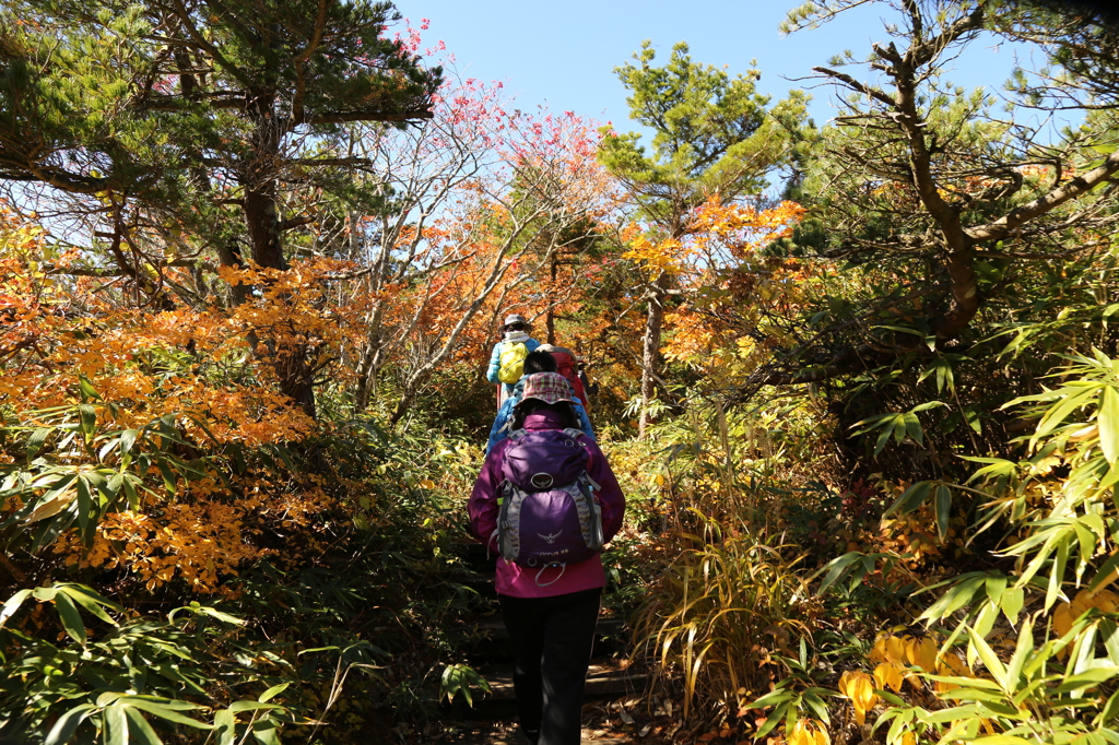 登山　娘