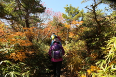 登山　娘