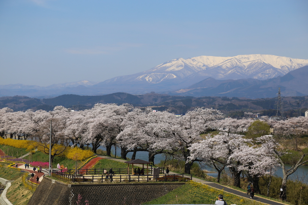 宮城県柴田町