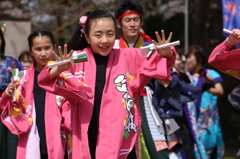 よさこい　2016　さくら祭り