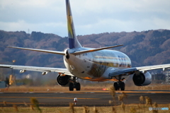 仙台空港　スカイマーク