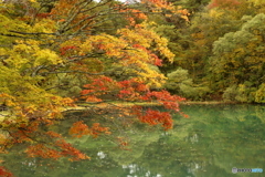 秋の紅葉　福島　五色沼