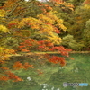 秋の紅葉　福島　五色沼