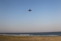 仙台空港の海