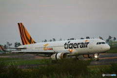 TIGER AIR　着陸