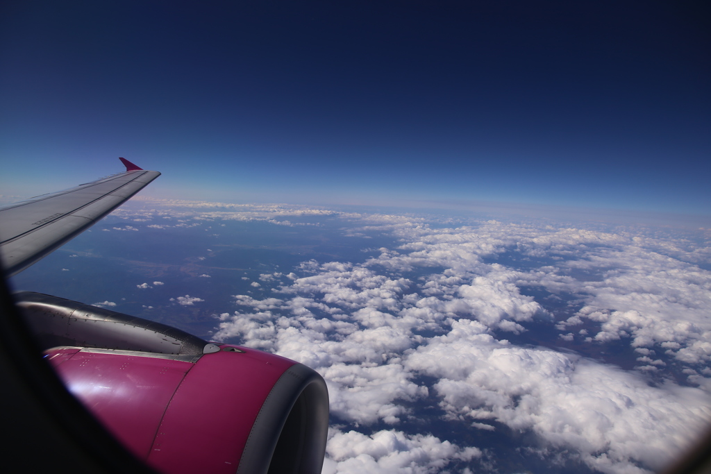 上空から