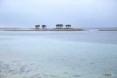 沖縄の海