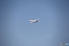 仙台空港　７８７旋回