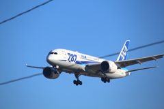 仙台空港787