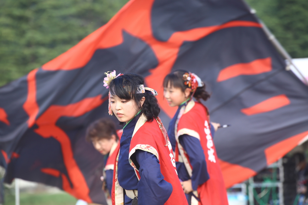 ザ・フェスティバルinしばた2018　よさこい