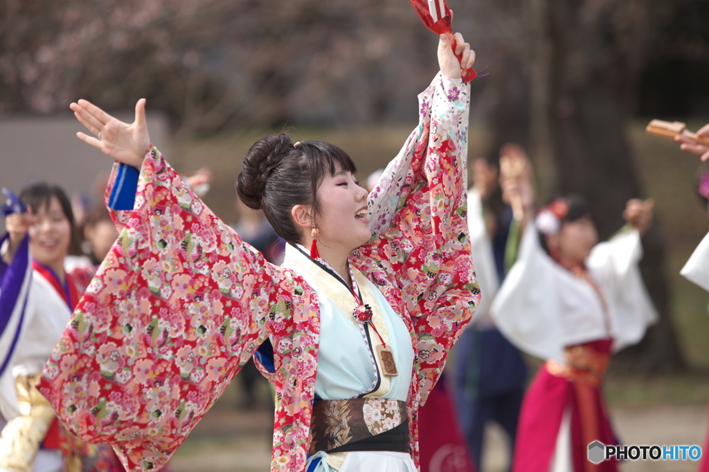 しばた　さくらまつり　よさこい8