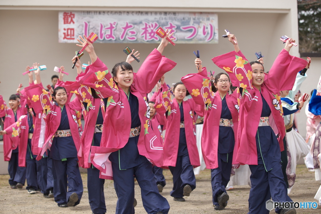 しばた　さくらまつり　よさこい1