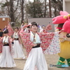 しばた　さくらまつり　よさこい7