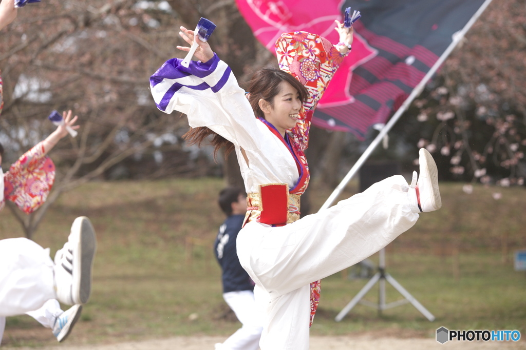 しばた　さくらまつり　よさこい6