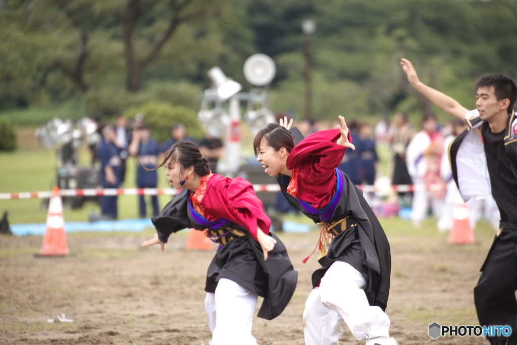 フェスティバル　IN　しばた　よさこい　2017