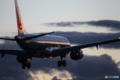 仙台空港　着陸　ミニオン