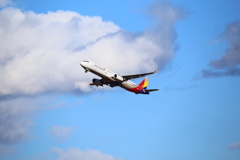 仙台空港