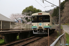 阿武隈急行とさくら
